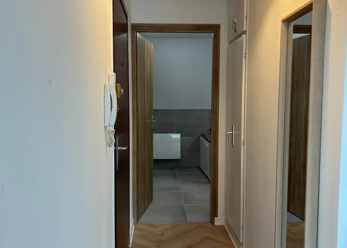 Charming With Jacuzzi Centre Gare *