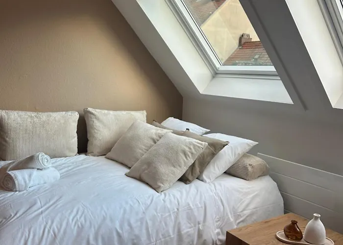 Charming With Jacuzzi Centre Gare *