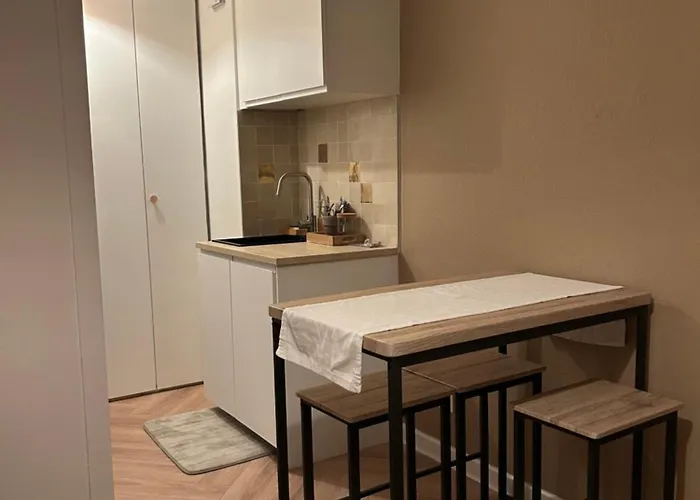 Charming With Jacuzzi Centre Gare דירה *