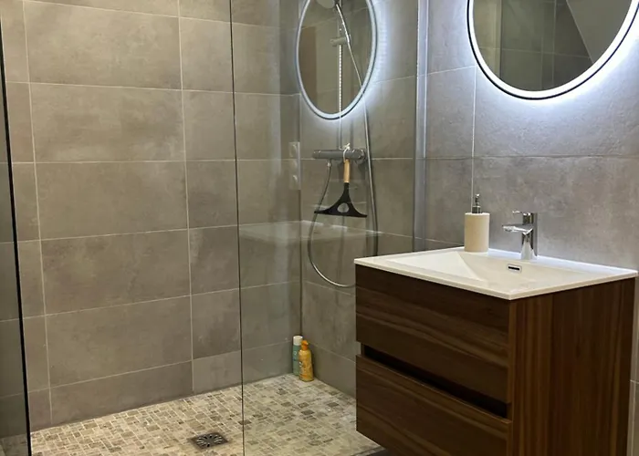 Appartement Charming With Jacuzzi Centre Gare Strasbourg